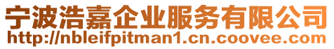 寧波浩嘉企業(yè)服務(wù)有限公司