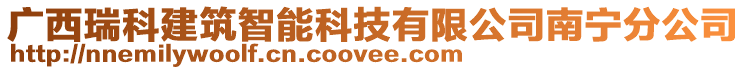 廣西瑞科建筑智能科技有限公司南寧分公司