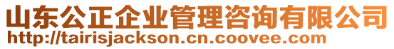 山東公正企業(yè)管理咨詢有限公司