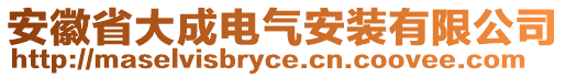 安徽省大成電氣安裝有限公司