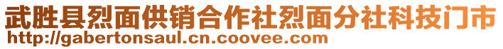 武勝縣烈面供銷合作社烈面分社科技門市