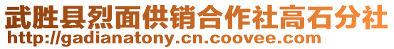 武勝縣烈面供銷合作社高石分社