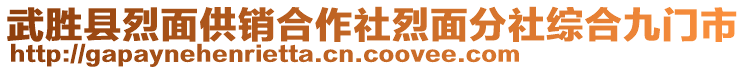 武勝縣烈面供銷(xiāo)合作社烈面分社綜合九門(mén)市