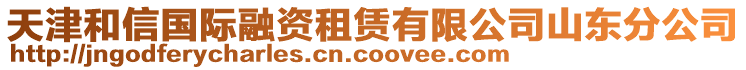 天津和信國際融資租賃有限公司山東分公司