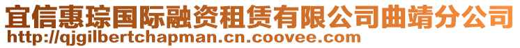 宜信惠琮國(guó)際融資租賃有限公司曲靖分公司