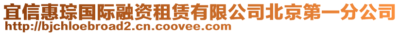 宜信惠琮國際融資租賃有限公司北京第一分公司