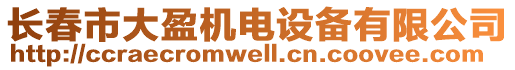 長春市大盈機(jī)電設(shè)備有限公司