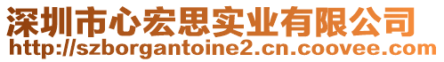 深圳市心宏思實業(yè)有限公司