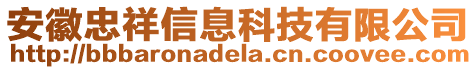 安徽忠祥信息科技有限公司