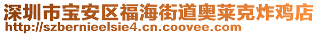 深圳市寶安區(qū)福海街道奧萊克炸雞店