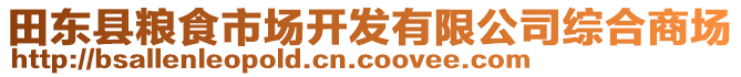 田東縣糧食市場開發(fā)有限公司綜合商場