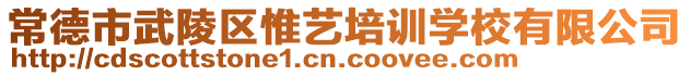 常德市武陵區(qū)惟藝培訓(xùn)學(xué)校有限公司