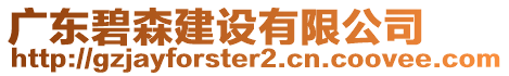 廣東碧森建設有限公司