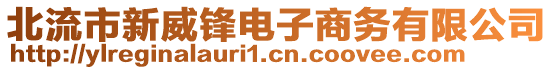 北流市新威鋒電子商務有限公司