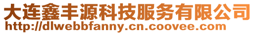 大連鑫豐源科技服務有限公司