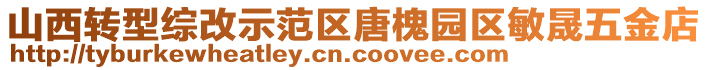 山西轉型綜改示范區唐槐園區敏晟五金店