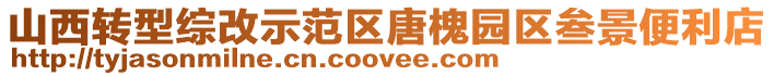 山西轉型綜改示范區唐槐園區叁景便利店
