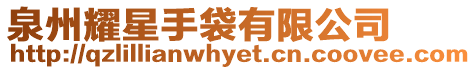 泉州耀星手袋有限公司