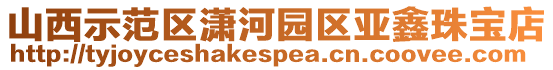山西示范區(qū)瀟河園區(qū)亞鑫珠寶店