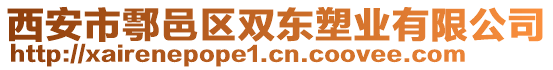 西安市鄠邑區(qū)雙東塑業(yè)有限公司