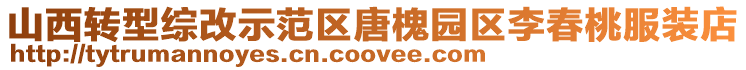 山西轉型綜改示范區唐槐園區李春桃服裝店