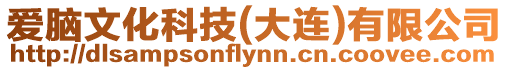 愛腦文化科技(大連)有限公司