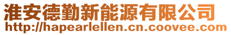 淮安德勤新能源有限公司