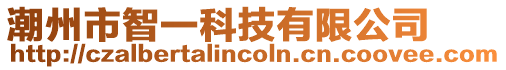 潮州市智一科技有限公司
