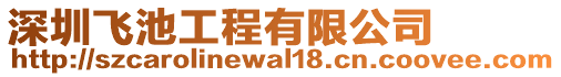深圳飛池工程有限公司