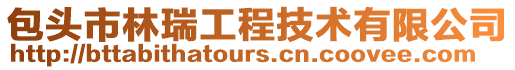 包頭市林瑞工程技術(shù)有限公司