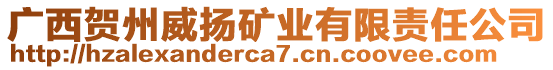 廣西賀州威揚(yáng)礦業(yè)有限責(zé)任公司