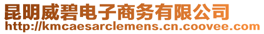 昆明威碧電子商務(wù)有限公司