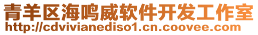 青羊區(qū)海鳴威軟件開(kāi)發(fā)工作室