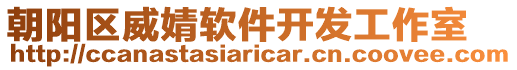 朝陽(yáng)區(qū)威婧軟件開發(fā)工作室