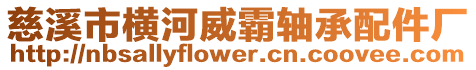 慈溪市橫河威霸軸承配件廠