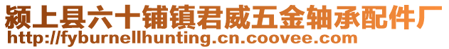 潁上縣六十鋪鎮(zhèn)君威五金軸承配件廠