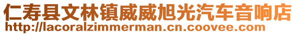 仁壽縣文林鎮(zhèn)威威旭光汽車音響店