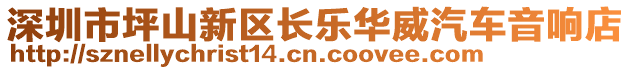 深圳市坪山新區(qū)長樂華威汽車音響店