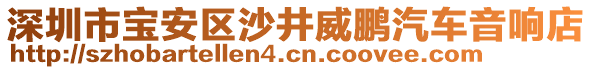 深圳市寶安區(qū)沙井威鵬汽車音響店