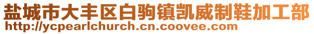 鹽城市大豐區(qū)白駒鎮(zhèn)凱威制鞋加工部