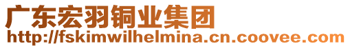 廣東宏羽銅業集團