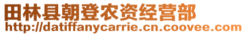 田林縣朝登農資經營部