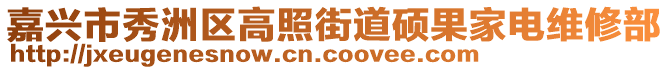 嘉興市秀洲區(qū)高照街道碩果家電維修部