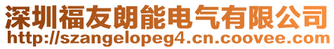 深圳福友朗能電氣有限公司