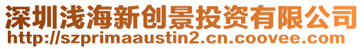 深圳淺海新創景投資有限公司