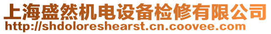 上海盛然機(jī)電設(shè)備檢修有限公司