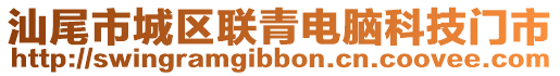 汕尾市城區聯青電腦科技門市
