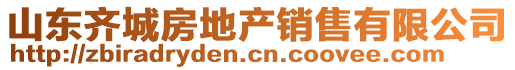 山東齊城房地產銷售有限公司