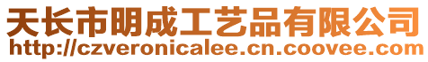 天長市明成工藝品有限公司
