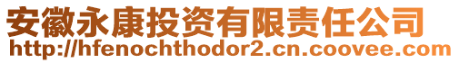 安徽永康投資有限責任公司
